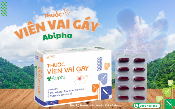 Thuốc viên vai gáy Abipha: Giải pháp thảo dược cho xương khớp, vai gáy và cột sống cổ ảnh 3